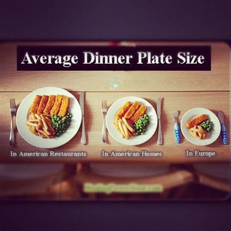 Average Dinner Plate Size | amulette