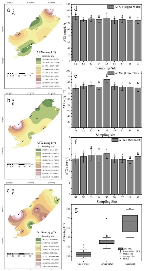 The Spatial Distribution And Bioaccumulation Of Anatoxin A In Hulun Lake