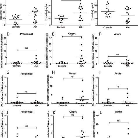 Intestinal Permeability In Aia Rats Plasma Zonulin Levels Were Download Scientific Diagram