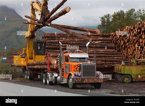 Forwarder Loading Logs Harvested At Chiniak Onto A Logging Truck Stock