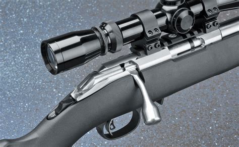 Review Ruger American Rimfire Stainless Rifle Shooter