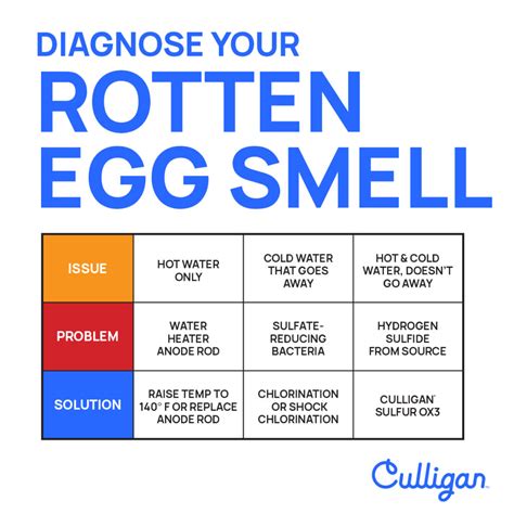 Sulfur - Rotten Egg Smell in Tap Water | Culligan Tampa Bay