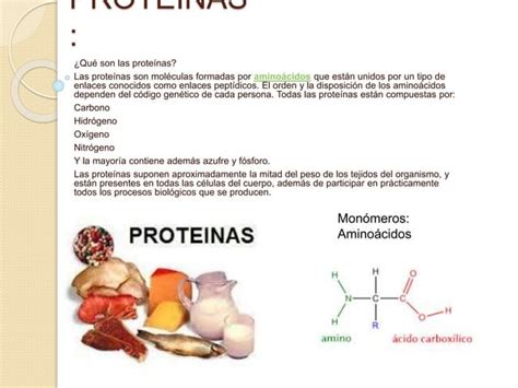 Nutrientes PPT Descarga Gratuita