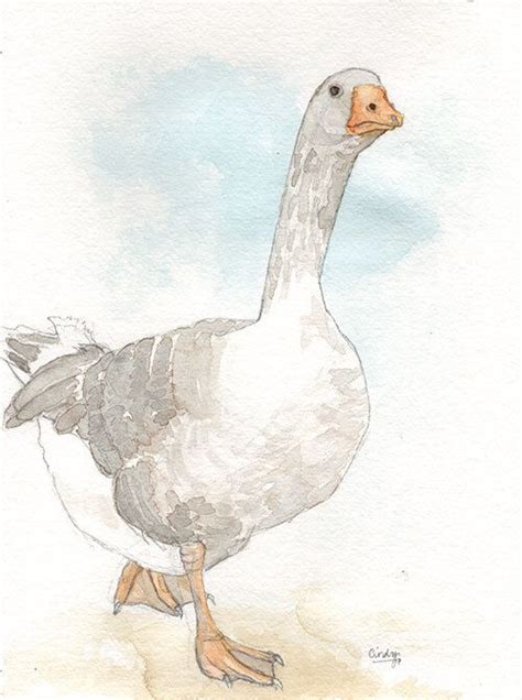 Watercolors — Duck Girl Art Watercolor Paintings Of Animals