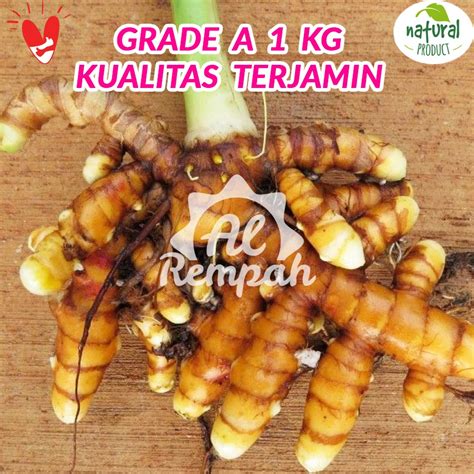 Jual Kunir Kunyit Segar Organik 1kg Murah Gunung Kidul Shopee