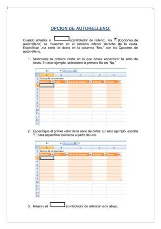 21 Opcion Deautorelleno PDF