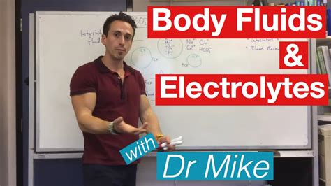 Body Fluids And Electrolytes Youtube