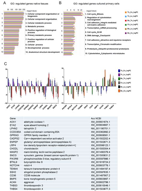 Ab Top Ten Biological Process Gene Ontology Terms As Determined