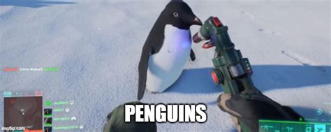 Bf2042 Penguin Imgflip