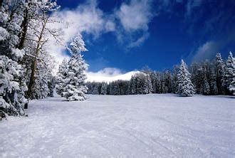 Snow Skiing Flagstaff Arizona, Cross Country Skiing