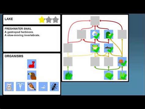 Practice: Food Web Builder - Free Games and Assessments - Legends of ...
