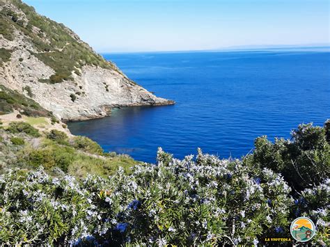 Visita Lisola Di Gorgona Il 15 Luglio La Viottola Escursioni E