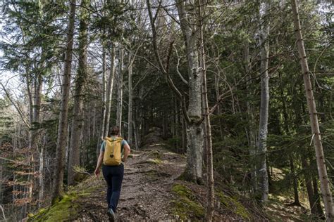 Wanderung Ber Den Aussichtsberg Hochhamm