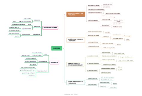 I Gruppi Mappa Concettuale Preparata Per L Esame Di Psicologia