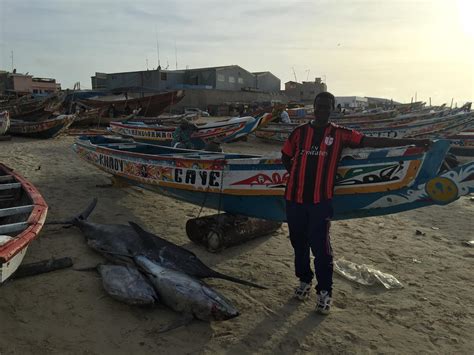 The Natural World of Senegal | Reach the World