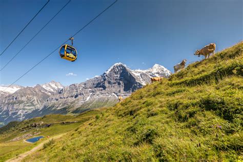 Gondelbahn Grindelwald Maennlichen Ricola Gondel Eiger Moench Sommer