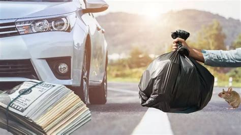 Aplicarán La Primera Multa En Pachuca Por Tirar Basura En La Calle México Head Topics