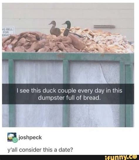 35 Duck Memes That Will Make You Quack All Day Duck Memes Cute Funny