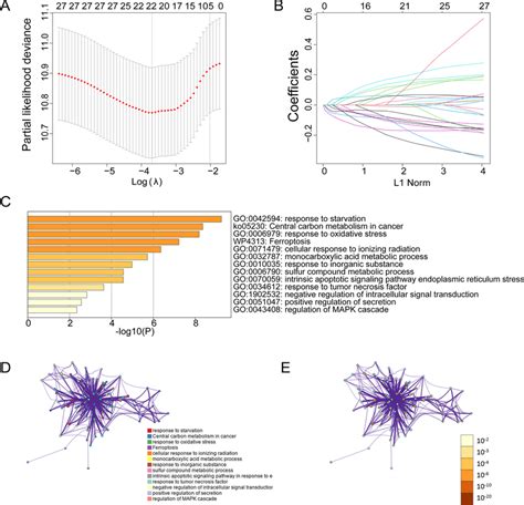 Identification Of Prognostic Ferroptosis Related Genes In Dlbcl A