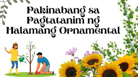 Pakinabang Sa Pagtatanim Ng Halamang Ornamental Epp Agriculture