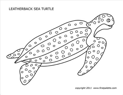 Sea Turtle Template Printable