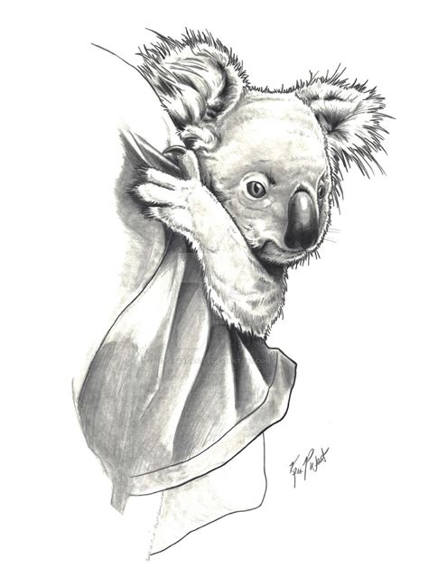 koala by FREAKCASTLE on DeviantArt