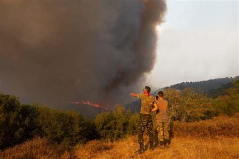 Cyprus Firefighting Team In Greece Moves To New Front Cyprus Mail