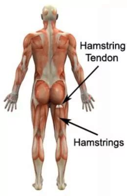 Ischial Pain When Sitting