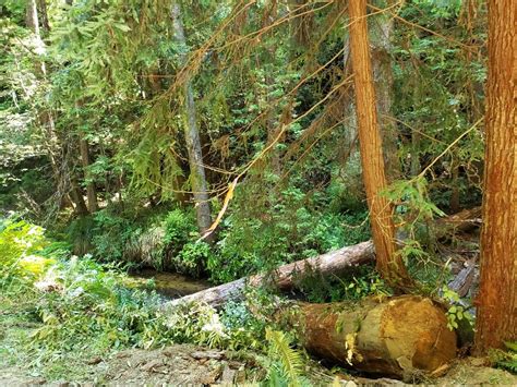 Cal Fire On Twitter Fall Is An Ideal Time To Add Large Woody Debris