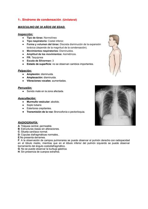 SOLUTION Síndromes pleuropulmonares Studypool