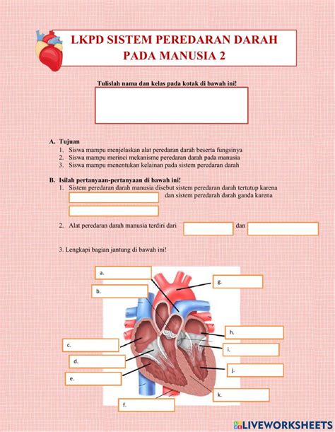 Lkpd 2 Sistem Peredaran Darah Pada Manusia 3491617
