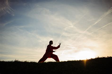 L Histoire Du Tai Chi Chuan