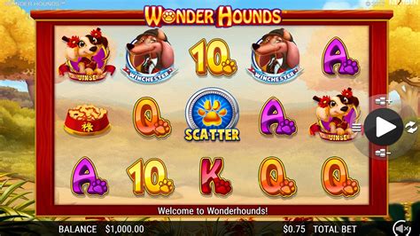 Wonder Hounds Slot > Free Demo and Review