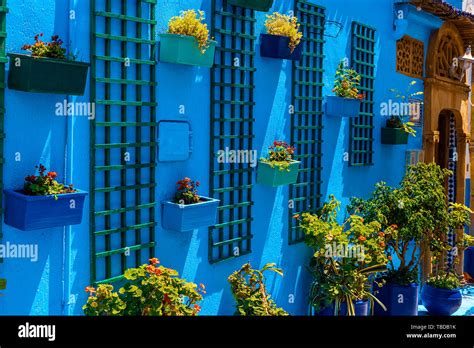 Sur Le Mur Bleu Accrocher Des Pots Avec Diff Rentes Plantes La Kasbah