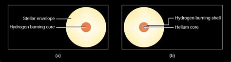 Evolution From The Main Sequence To Red Giants Astronomy