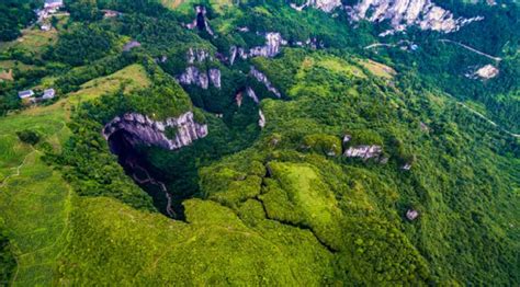 Descubren Bosque Virgen Dentro De Cráter En China Con Especies Nunca Antes Vistas Por El Hombre