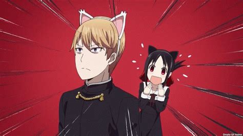 Shirogane With Cat Ears Anime Chibi Girl Anime Reviews