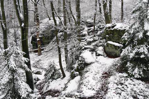 Winterwanderung Zu Den Bodensteiner Klippen