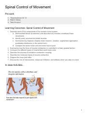 Sw Spinal Control Of Movement Pdf Spinal Control Of Movement Pre Work