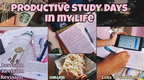 STUDY VLOG Productive Days In My Life As A 10th Grader Productive