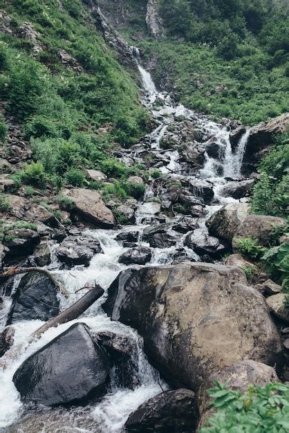 Premium Photo Mountain Stream In The Forest Natural Landscape