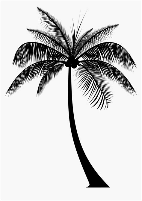 Palm Tree Silhouette Png Palm Trees Silhouette On Island PNG Image