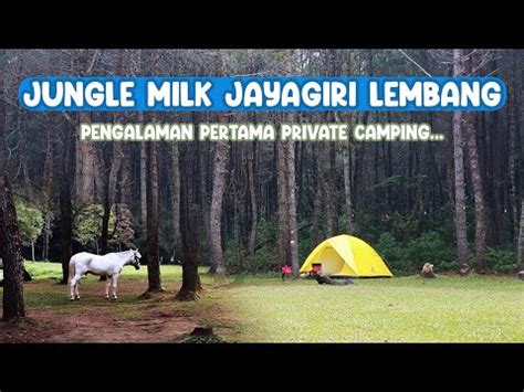 PRIVATE CAMPING DI HUTAN PINUS JUNGLE MILK JAYAGIRI LEMBANG YouTube