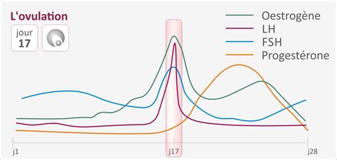 Le Cycle Menstruel At Lovulation
