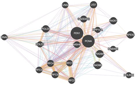 Javascript Discover The Graph Visualization Ecosystem Isquared