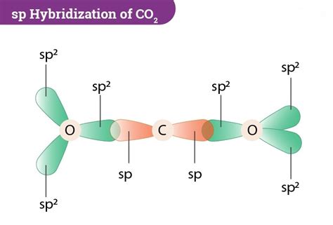 Hybridization of CO2 (Carbon Dioxide) - Understanding sp Hybridization