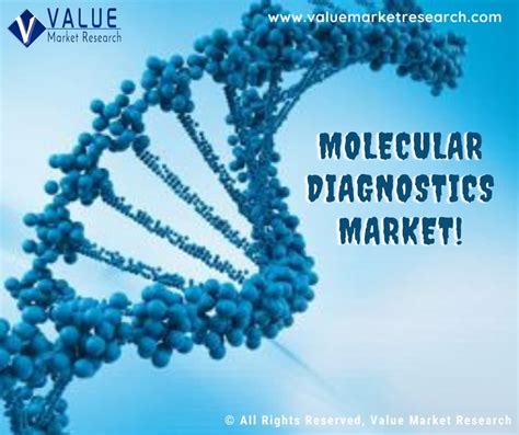 Molecular Diagnostics Market Share Forecast Report To