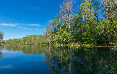 7 Fantastic State Parks in Florida (with RV Hookups) - Drivin' & Vibin'