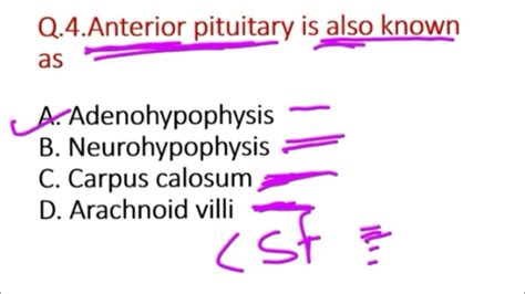 Endocrine System Mcq Endocrine Hormone Mcq Endocrine Glands Mcq