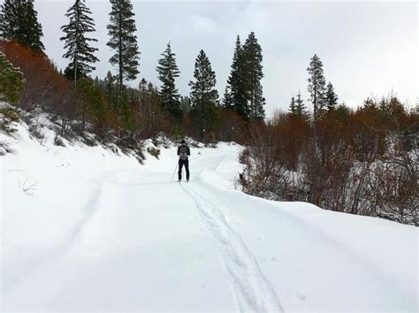 Nason Ridge Ski Trail Wenatchee Outdoors